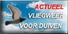 WEERHUISKE.nl - vliegweer duiventip