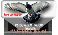 actueel vliegweer voor duiven op de vlieglijn